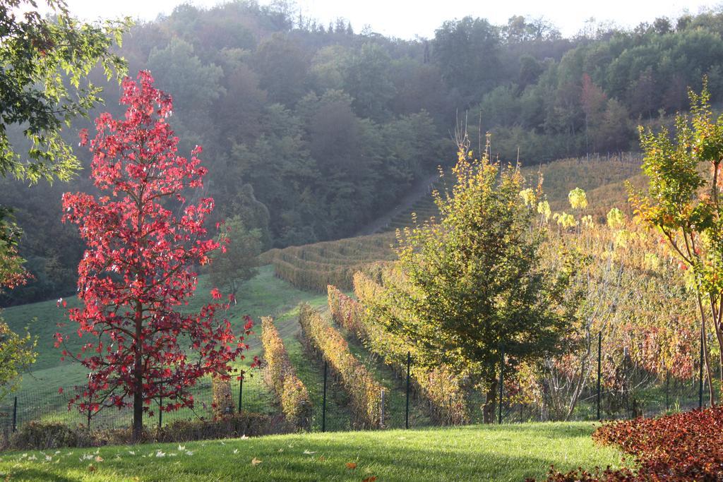B&B Bricco Fiore Briaglia Dış mekan fotoğraf